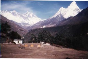 cv2006001